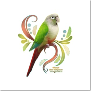 Cinnamon Green Cheek Conure Posters and Art